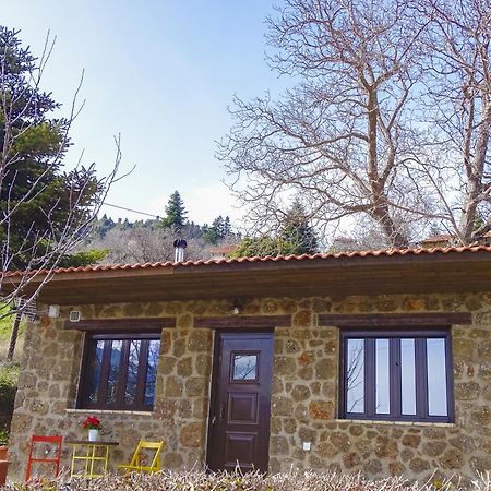 Villa Γήλοφος à Ano Trikala Extérieur photo