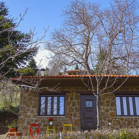 Villa Γήλοφος à Ano Trikala Extérieur photo